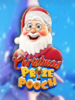 Christmas Prize Pooch