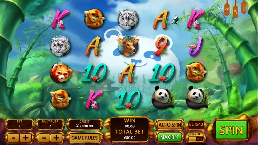Panda's Gold.jpg