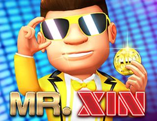 Mr. Xin