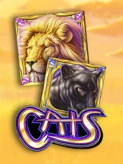 Fort Knox Cats