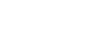 Wettigo Casino Logo