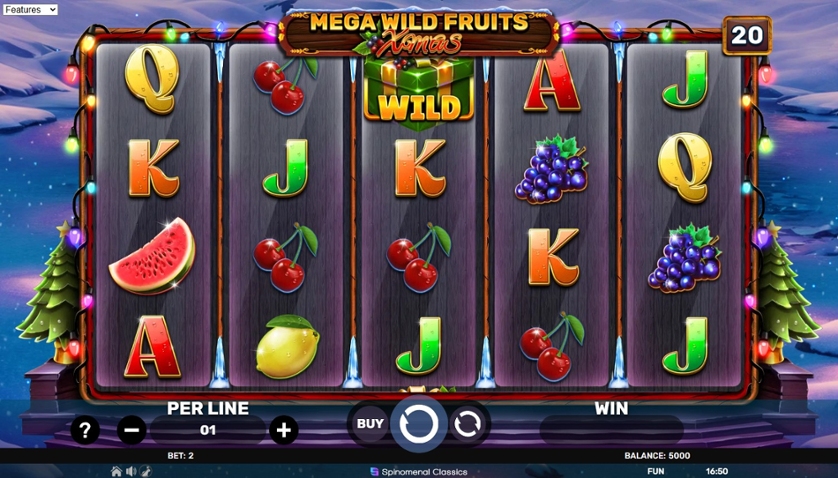 Mega Wild Fruits - Xmas.jpg