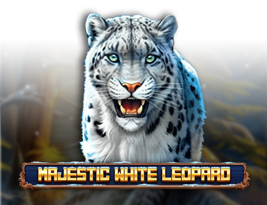 Majestic White Leopard