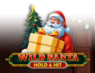 Wild Santa - Hold & Hit