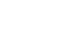 Discasino Logo
