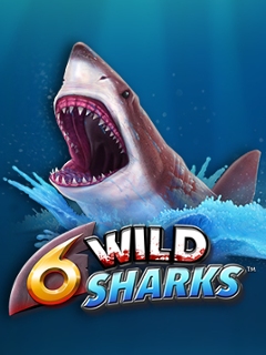 6 Wild Sharks