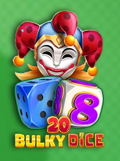 20 Bulky Dice