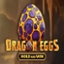 Dragon Eggs