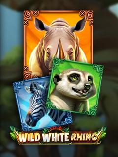 Wild White Rhino