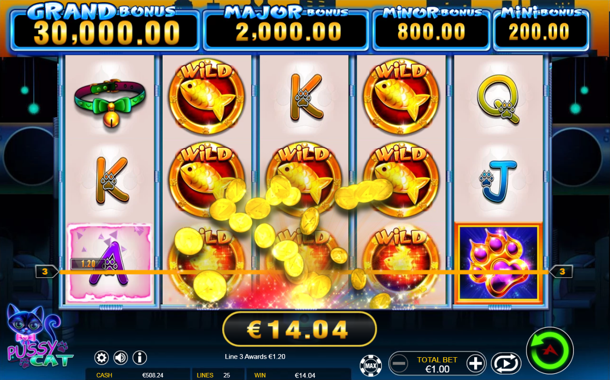 Pussy Cat slot big win