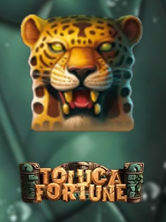 Toluca Fortune