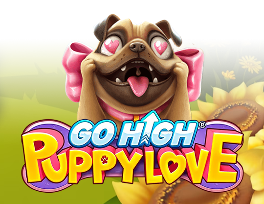 Go High Puppy Love