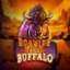 Roaming Wild Buffalo
