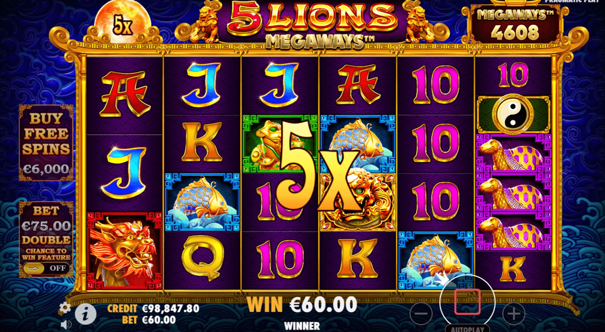 5 Lions Megaways win