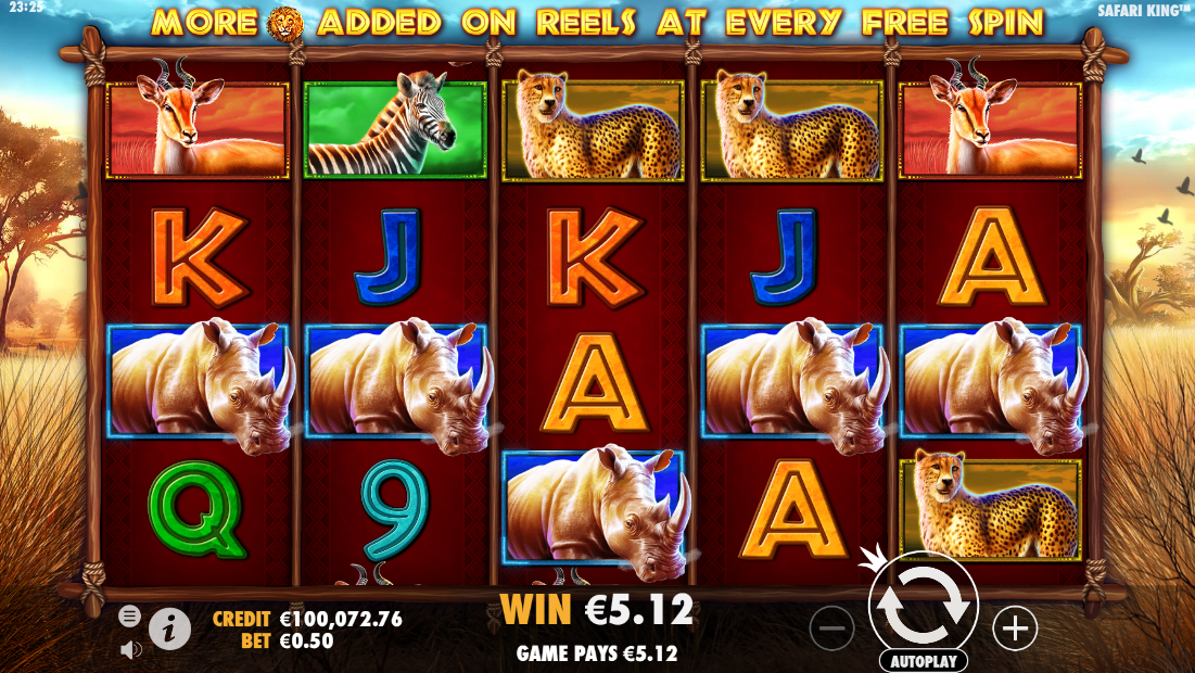 Safari King slot 5 of a kind win