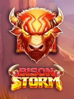 Bison Storm