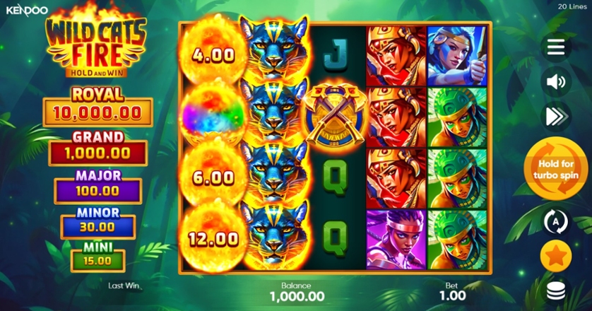 Wild Cats Fire.jpg