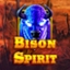 Bison Spirit