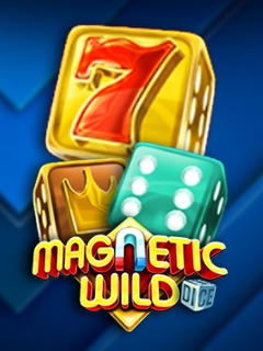 Magnetic Wild Dice