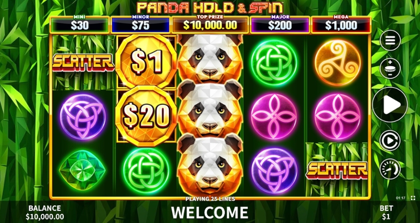 Panda Hold & Spin.jpg