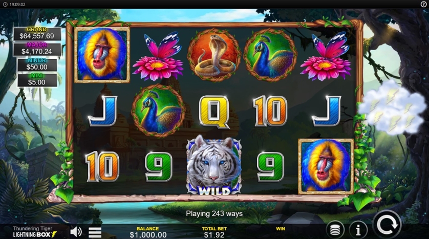 Thundering Tiger.jpg