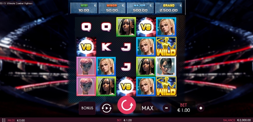 Ultimate Combat Fightres.jpg