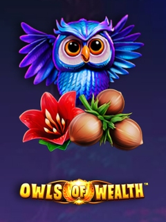 Owls of Wealth