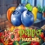 Hot Pepper Maxlines