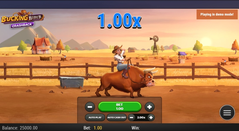 Bucking Rider.jpg