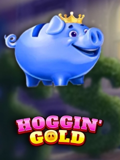 Hoggin' Gold