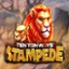 Ten Ton Ways Stampede