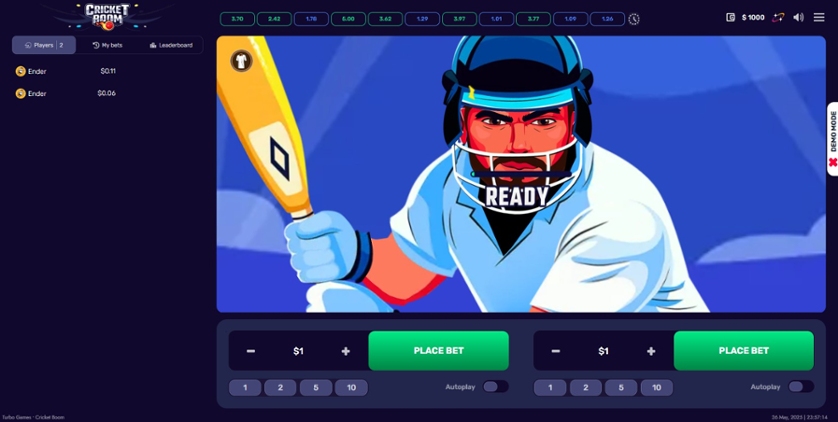 Cricket Boom.jpg