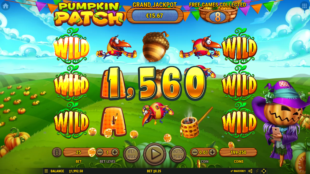Pumpkin Patch big win