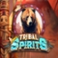 Tribal Spirits