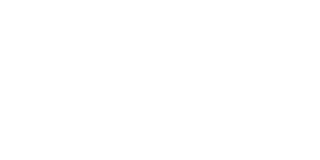 SlotMonkey Casino Logo