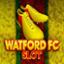 Watford FC Slot