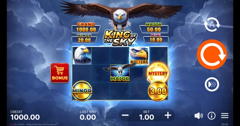 King of the Sky Hit the Bonus.jpg