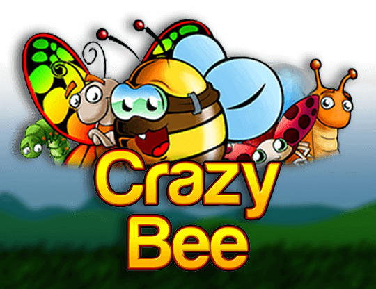Crazy Bee