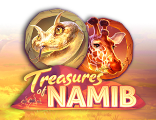 Treasures of Namib