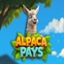 Alpaca Pays