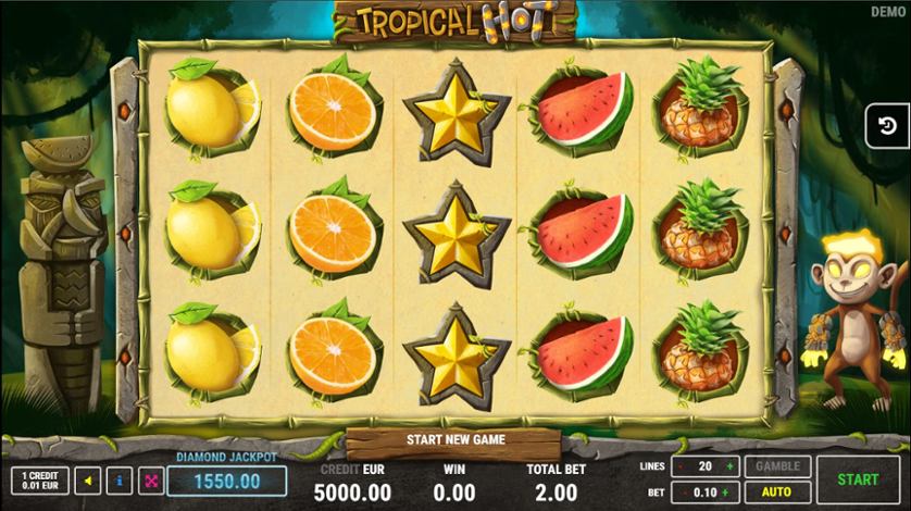 Tropical Hot.jpg