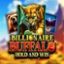 Billionaire Buffalo Hold and Win