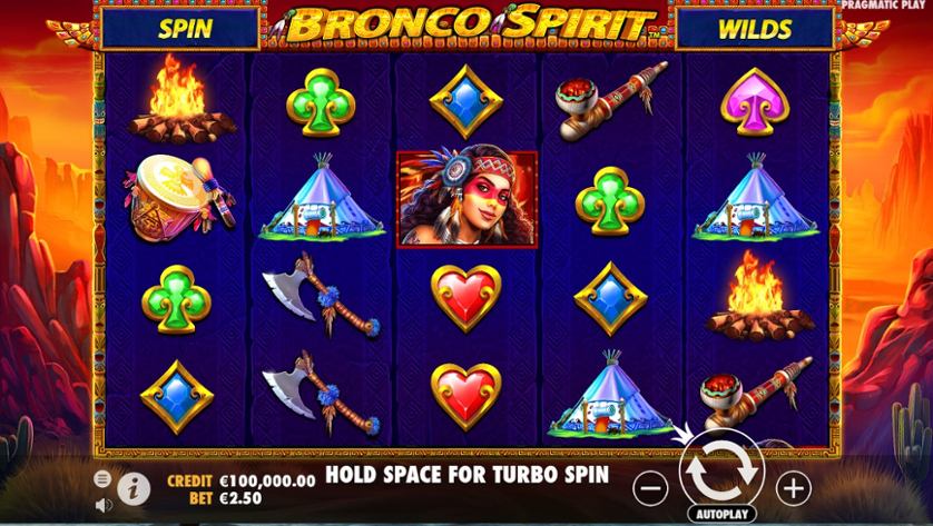 Bronco Spirit.jpg