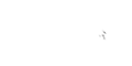 Amiriexch Casino