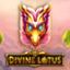 Divine Lotus