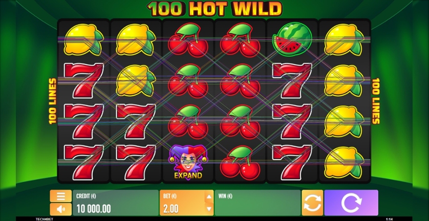 100 Hot Wild.jpg