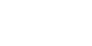 Fosmex Casino Logo