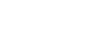 VIP Winners Club Casino Logo