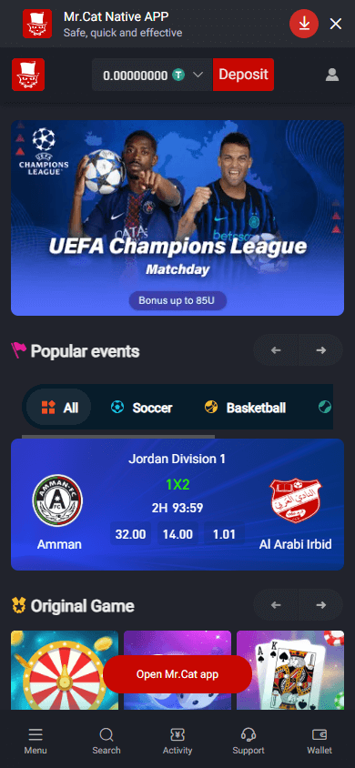 mr.cat_casino_homepage_mobile