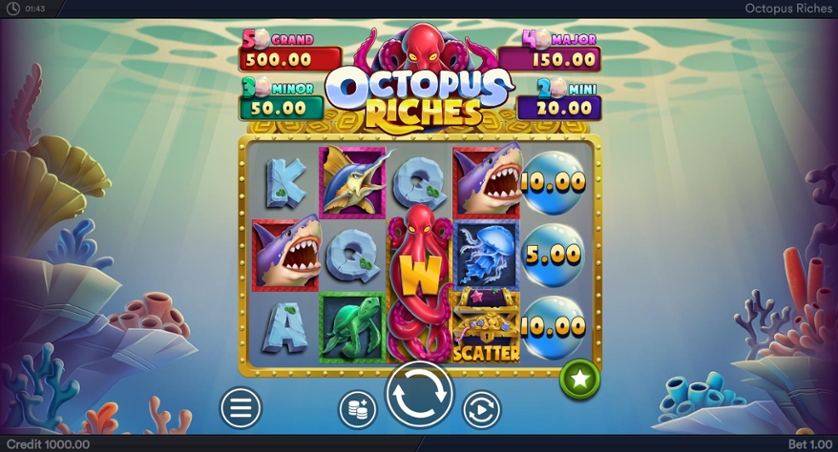 Octopus Riches.jpg